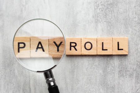 complete payroll solutions including salary processing, payslips, tax deductions, and statutory submissions