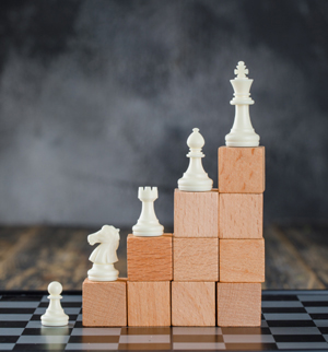 expert and professional financial guidance